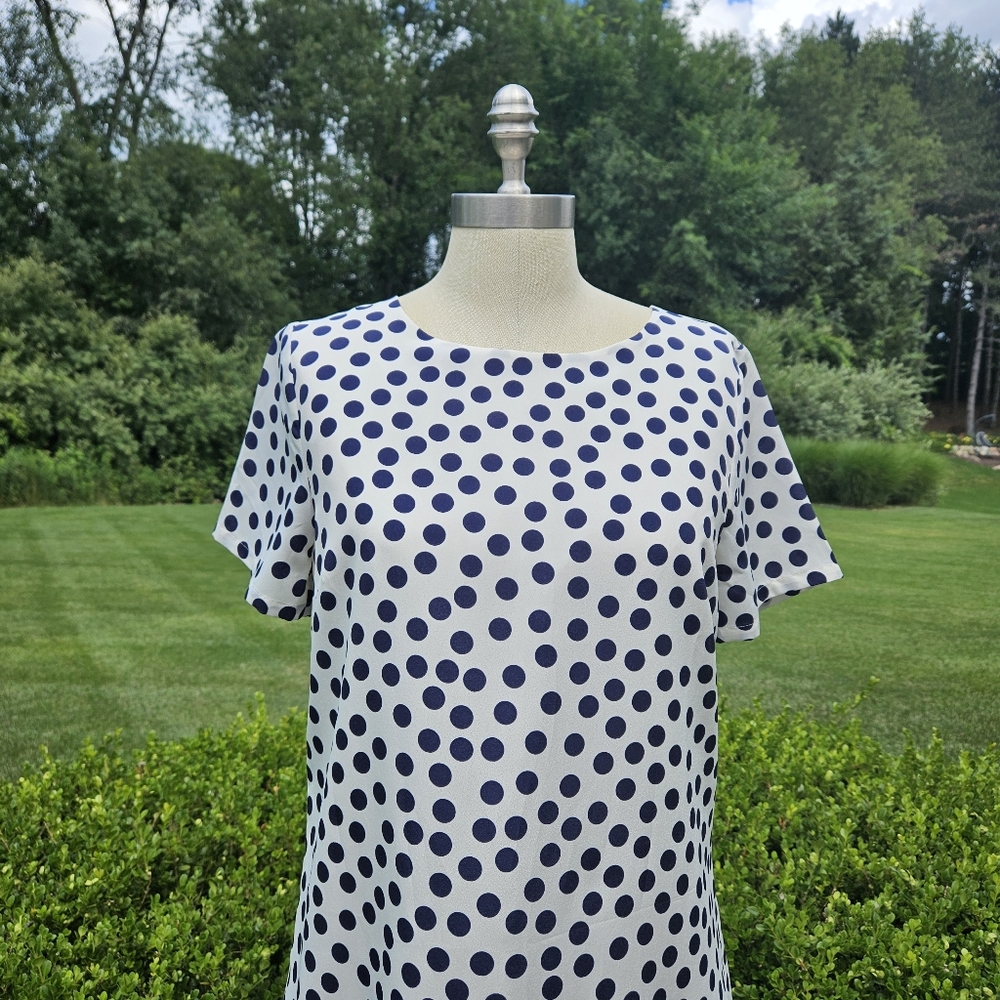 J. Crew Factory Polka Dot Gallery Dress - Picture 2 of 7